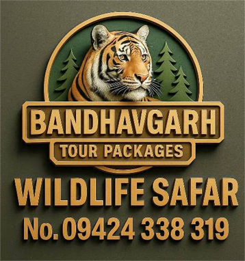 Jungle Jeep Safari Kanha National Park