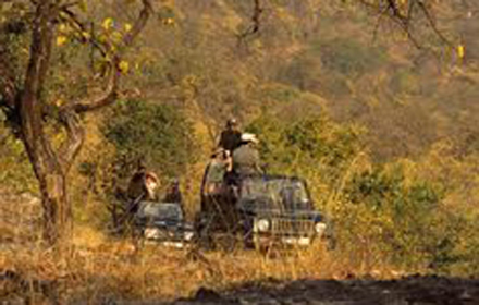 Kanha National Park